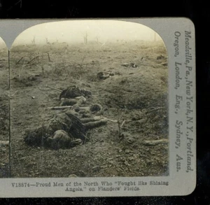 Antike Stereoview-Karte 1. Weltkrieg 3D französische 75 mm Geschütze warten im Hinterhalt nahe deutscher Linie - Bild 1 von 3