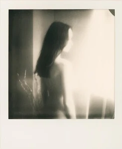 Imagen Polaroid desnuda ARTE original renacimiento del pájaro por Herr Merzi 048 - Imagen 1 de 1