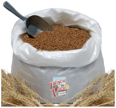 BENCH VIEW FARMS Organic Hard Red Wheat Berries - 48lbs