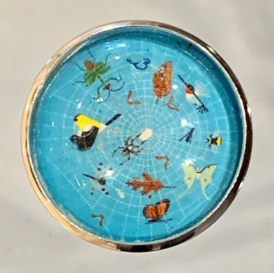 Botón de costura de vidrio Charley Harper telaraña pájaros insectos mariposa 1" CH654 Foto 1 de 2