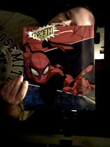 MARVEL SPIDERMAN PRESENTS GIFT BAG IDEAL BIRTHDAY CHRISTMAS PARTY HOLDER - Picture 1 of 1