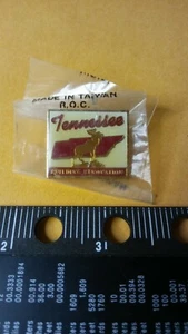 Tennessee Building Renovation Pin Pinback New Sealed - Picture 1 of 1
