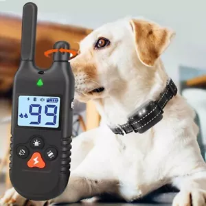 Hunde Halsband Erziehungshalsband 800m Hunde Ferntrainer Ton & Vibration 2025 - Bild 1 von 23