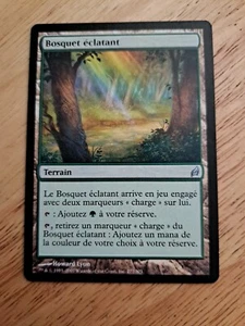 MTG - Vivid Grove - Lorwyn - French Edition - Picture 1 of 2