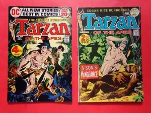 TARZAN #208 & #210 *2 BOOK LOT* 2nd & 4th DC issue (avg 6.0) DC COMICS 1972 - Picture 1 of 4