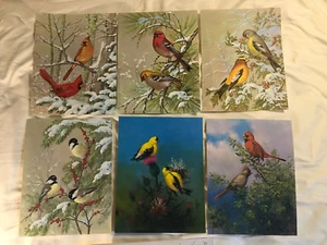 Menge 6 Vintage Vogeldrucke O.J. "Gromme / Joan Beringer & More 11 x 8,5" - Bild 1 von 12