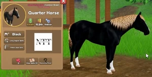 Wild Horse Islands - schwarz, Jaguar Spots, Quarter Horse - IUH - Bild 1 von 1