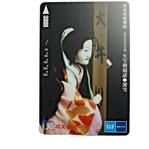 Tarjeta de metro BUNRAKU usada billete de tren prepago Tokio antes de 2015 pasenet - Imagen 1 de 2