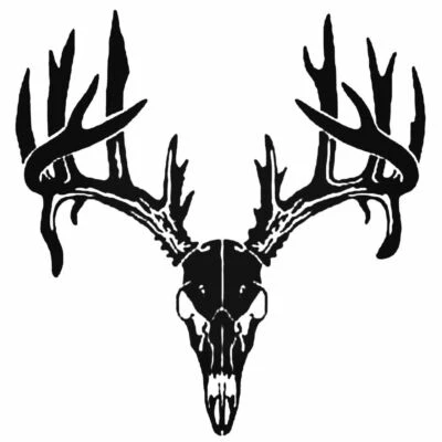 BUCK SKULL HORNS ANTLERS Vinyl Decal -Sticker for Car Truck Bumper Wall Window  - Image 1 of 2