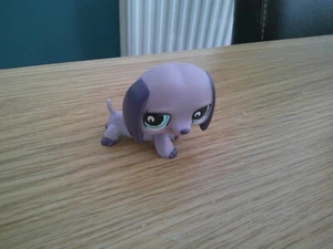 LITTLEST DCHSHUND LILA PÚRPURA HASBRO ENVÍO GRATUITO DEL REINO UNIDO - Imagen 1 de 3
