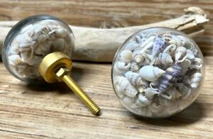2 Live Seashell Filled Glass Drawer Pulls Knobs Cabinet Handles Gold Beach Decor