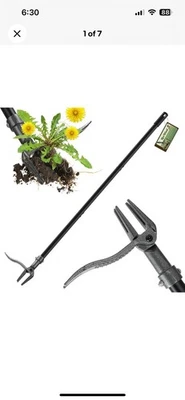 Extractor de malezas de pie Foto 1 de 3