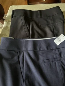 ann taylor loft hose Gr. 8 - Bild 1 von 2