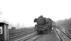 2 original Negative 03 2096 DR/ Berlin Zoo 1970 - Picture 1 of 2