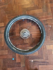 DT Swiss tyre with dt Swiss hub and brake discs and deralor - Picture 1 of 4