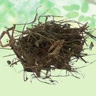 Brahmi Booti-Bacopa Monnieri-Raw Herbs-Saraswati Leaves-Indian Pennywort