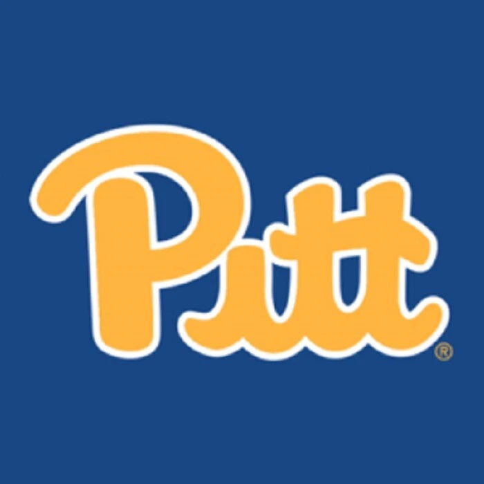 PITT Panthers ALUMNI w/ JERSEYs, AUTOs, RCs, ser #d - YOU CHOOSE! 10+ FREE S/H - Image 1 of 1
