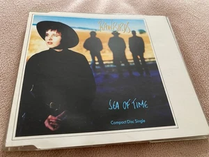 RAINBIRDS - SEA OF TIME - 1989 3 TRACK CD SINGLE - Bild 1 von 1