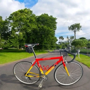 Bicicleta de carretera Peugeot Performance C-300 50 cm | Shimano SORA 24 velocidades | Rígida - Imagen 1 de 13