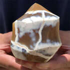 350G Natural Carnelian Carved Flame Shape Quartz Crystal Energy Reiki Heal