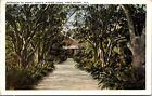 Henry Ford Historic Winter Home Fort Meyers Florida Scenic Walkway Wb Postcard