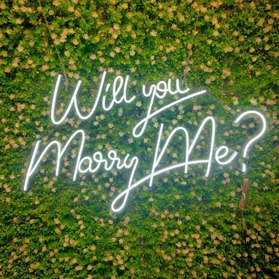 Neon Sign Will You Marry Me ? with Dimmer Switch, 12V Wedding Neon Sign Decor... - Image 1 of 4