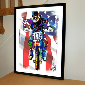 Travis Pastrana Freestyle Dirt Bike Motorcycle Poster Print Wall Art 18x24 - Picture 1 of 7