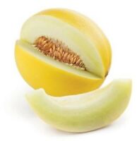Golden Beauty Casaba Honeymelon Graines 5+ seeds Melon HONEYSWEET!