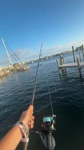 Van Staal VSX2 Bail-Less Spinning Fishing Reels | With Bushido Custom Rod - Picture 1 of 2