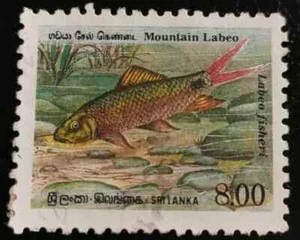 Sri Lanka: 1990 Endemic Fish 8.00 R. (Collectible Stamp). - Picture 1 of 1