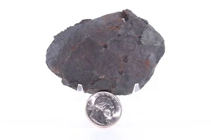 Piedra Metafísica "Escala Dragón" 3+" Cretácico Hell Creek Dakota del Norte Certificado de Autenticidad 5255 - Imagen 1 de 6