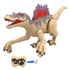 Electronic Steam Toys Realistic Walking RC Dinosaur with LED Light Roaring Sound