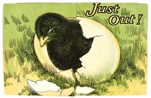 Livermore & Knight #692 unused ad postcard for Jos. Fearey & Son, Shoes. Pullout - Picture 1 of 3