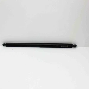 Puntone gas portellone posteriore sinistro BMW X2 F39 2.0 benzina 170kw 2022 22636727 - Foto 1 di 6