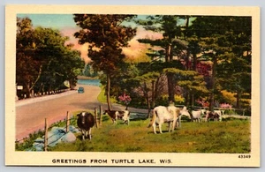 Postkarte Grüße vom Turtle Lake Wisconsin Panoramablick Leinenkühe - Bild 1 von 2