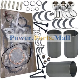 Overhaul Rebuild Kit STD For Kubota D1503 Engine L2900 L3000 L3010 L3130 Tractor - Bild 1 von 4