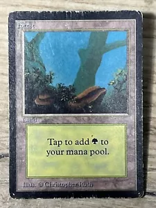 VTG MTG Forest - HP - Limited Edition Beta Magic the Gathering Card 300 - Picture 1 of 7