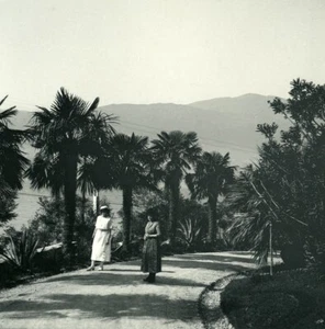 Italien Lago Maggiore Pallanza Eden Hotel Gärten Possemiers Stereoview Foto 1900 - Bild 1 von 3