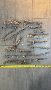 17 Pieces Uniquely Shaped Cholla Wood For Shrimp Aquarium / Fish Tank Décor - Picture 1 of 10