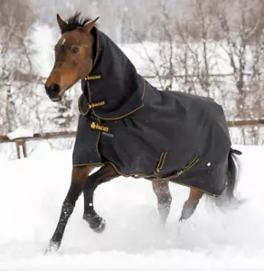 BUCAS Irish Turnout 50g + NECK black/gold Regendecke Outdoordecke mit Halsteil - Bild 1 von 3