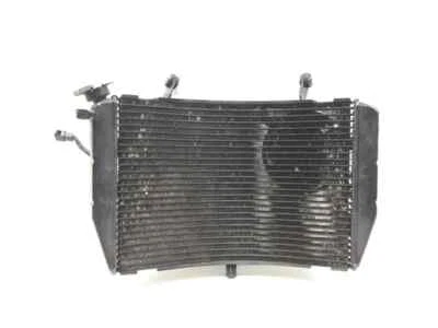 Fluido delantero de refrigeración del radiador con ventilador 2005 Yamaha YZF R1 Raven 2858A Foto 1 de 4