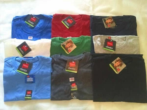 Hanes Boys T Shirt Classics Short Sleeve Tagless Size 4, 5, 6-7, 8, 9-10, 11-12 - Picture 1 of 10