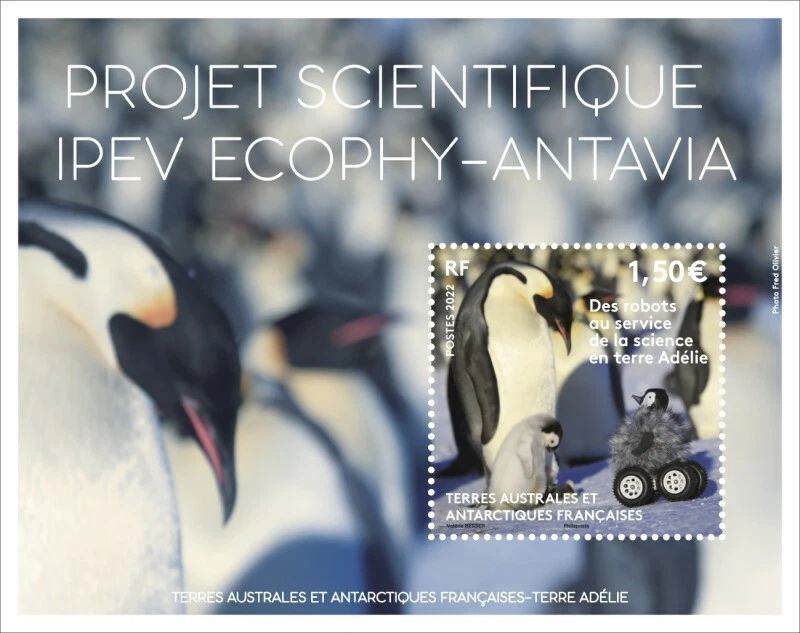 fsat 2022 taaf antarctic bird aves oiseaux MANCHOTS ROBOT ipev ecophy antavia ms - Image 1 of 1