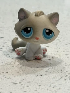 LPS #53 Tabby Kitten Cat Grey White Blue Eyes Hasbro Authentic Littlest Pet Shop - Picture 1 of 5
