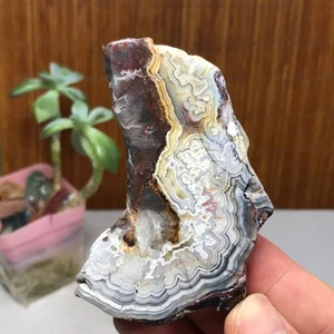 Rebanada de ágata mexicana natural piedra preciosa de cristal pulido/especimen áspero 72 g A1835 - Imagen 1 de 11