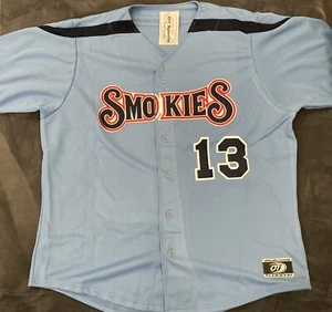 Starlin Castro Autogrpahed Cubs  Smokies Jersey Just For Minors Authenticated - Picture 1 of 4