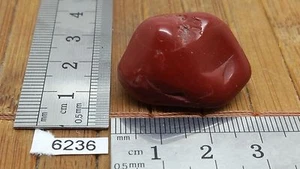 ROTER JASPIS Rollstein Mineralien Lithotherapie Deko Reiki Sammlung Quarz - Bild 1 von 1