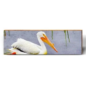 Pellicano Galleggiante - Foto 1 di 7