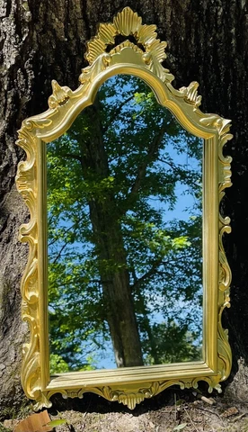 Carolina Mirror Company Vintage Gold Ornate Mirror 18” x 33” Tall Cover