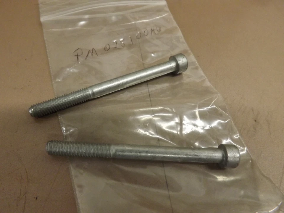 Lote de 2 pernos de cabeza de bomba de lavadora a presión Campbell Hausfeld PM025100AV nuevos de Lote Antiguo Foto 1 de 1